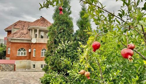 Villa with Garden View