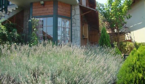 Studio Nafsika 