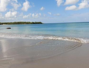 Apartment with Garden View