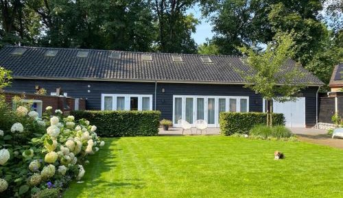King Room with Garden View