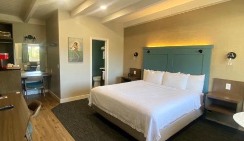 King Oceanview Room. No Pets