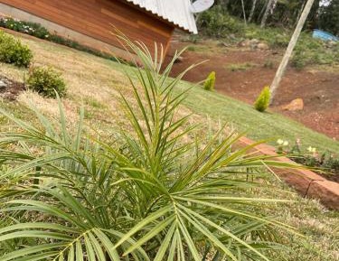Family Room with Bath