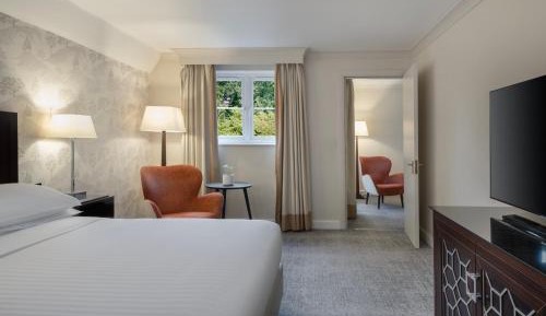 Junior King Suite
