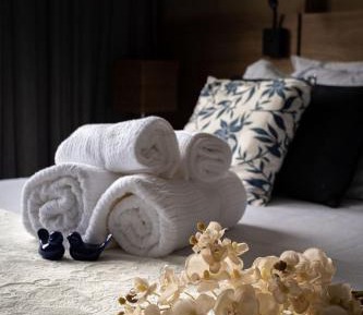 Studio with Mountain View