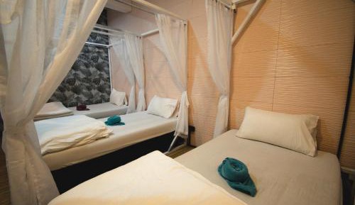 Bed in 4-Bed Mixed Dormitory Room