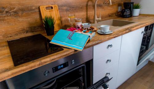 Studio with Mountain View