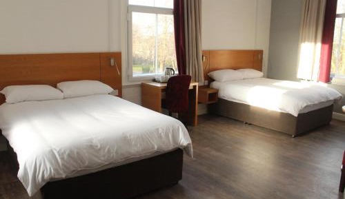 Double or Twin Room