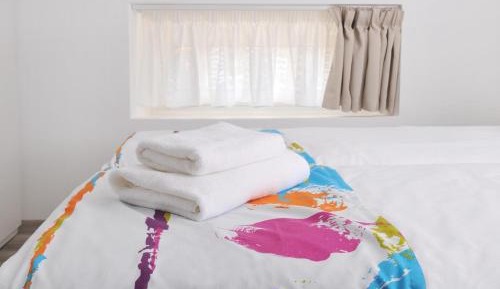 Double or Twin Room - Attic