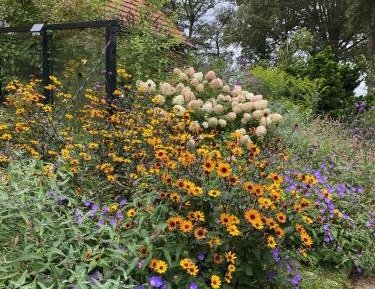 Deluxe Double Room with Extra Bed