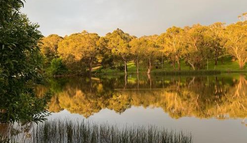 Warrawong Lodge