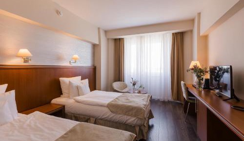 Business Double or Twin Room