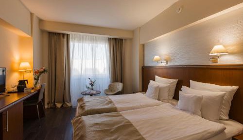 Business Single Room
