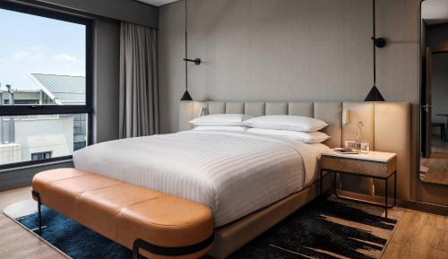 1 Bedroom Apartment, 1 King