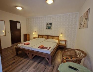 Double Room with Balcony