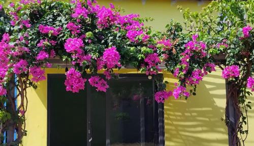 Double or Twin Room with Garden View