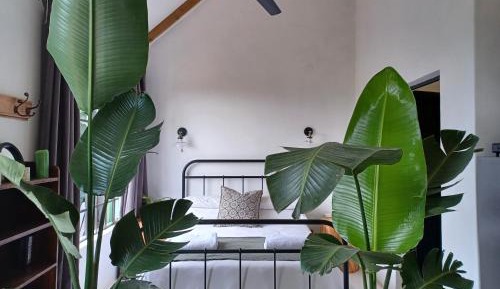 Apartment with Garden View