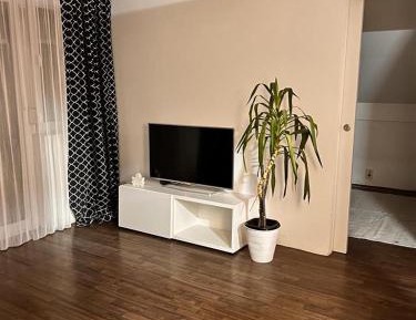 Two-Bedroom Apartment with Terrace