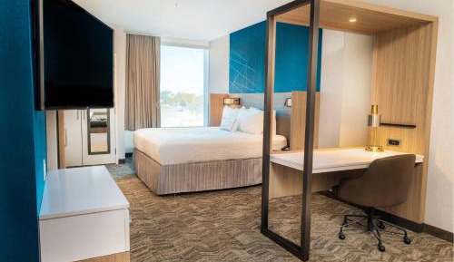 Wellness King Suite