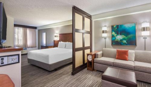 King Room with Roll-In Shower - Disability Access