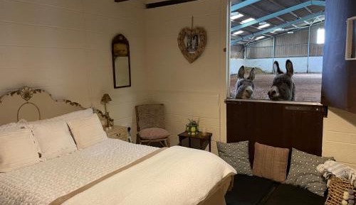 One-Bedroom Chalet