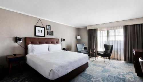 Guest Room, 1 King