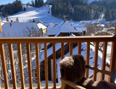 Superior Apartment with Sauna