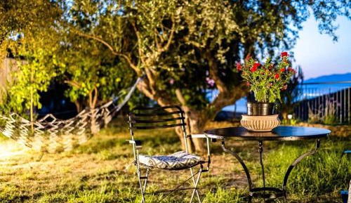 Studio with Garden View