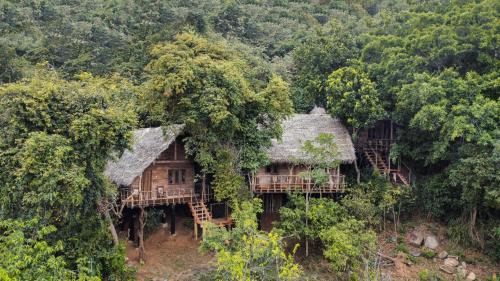 Tree House