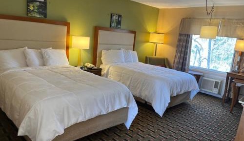 Double Room 2 Beds Non-Smoking