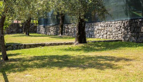 Standard Empty Lot (Bring your own Camper - max 7 mt)