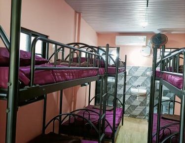 Bed in 8-Bed Mixed Dormitory Room