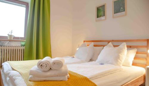 Double Room with Shared Bathroom