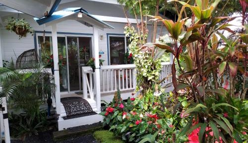 Studio with Garden View