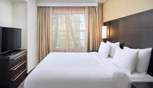 One-Bedroom Queen Suite with Sofa Bed