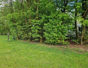 Empty Lot (Bring your own Tent)