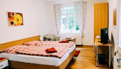 Double Room with Terrace