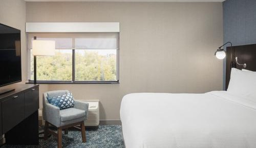 1 Bedroom Suite, 1 King, Sofa bed