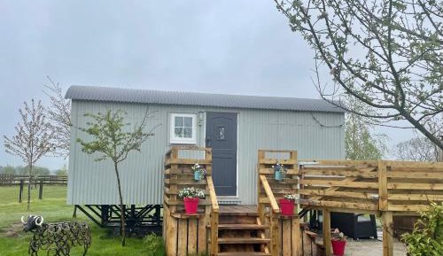Shepherds Hut - Garden View