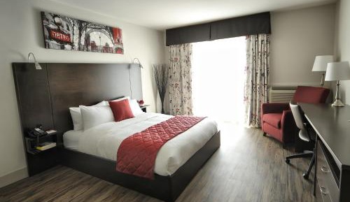 Superior Queen Room - Disability Access