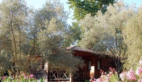 Two-Bedroom Chalet