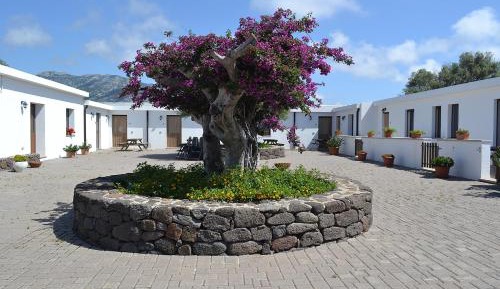 Studio with Sofa Bed