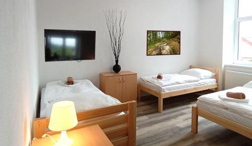 Triple Room - Disability Access