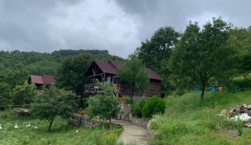Two-Bedroom Chalet