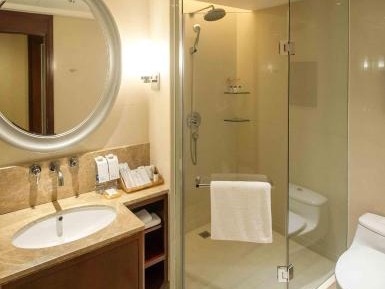 Deluxe King, Guest room, 1 King, City view
