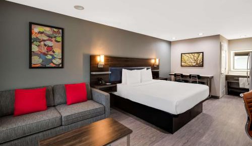 King Suite with Sofa Bed - Shower Only/Non-Smoking