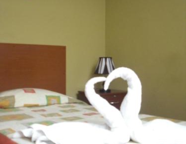 Single Room with Private Bathroom