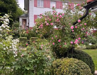 Double Room with Garden View