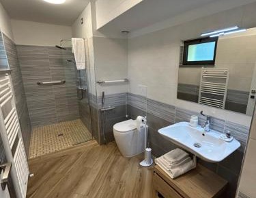 Large Double or Twin Room