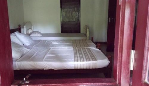 Basic Triple Room