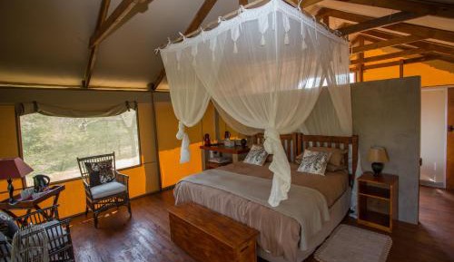 Cheetah Tree Top Tent